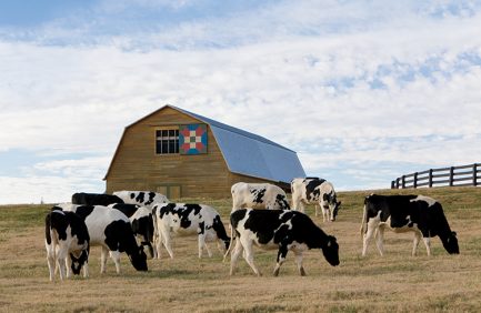 Klondike Bars and Popsicle||Murfreesboro Yoplait yogurt plant|Tennessee Dairy Infographic|Tennessee Dairy Infographic