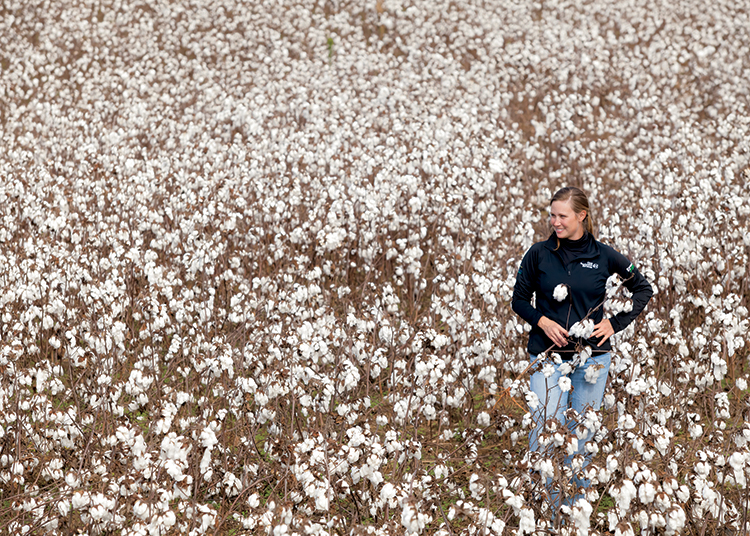 Cotton field, Kim Kee at Renfroe Farms, Huntingdon, Tennessee