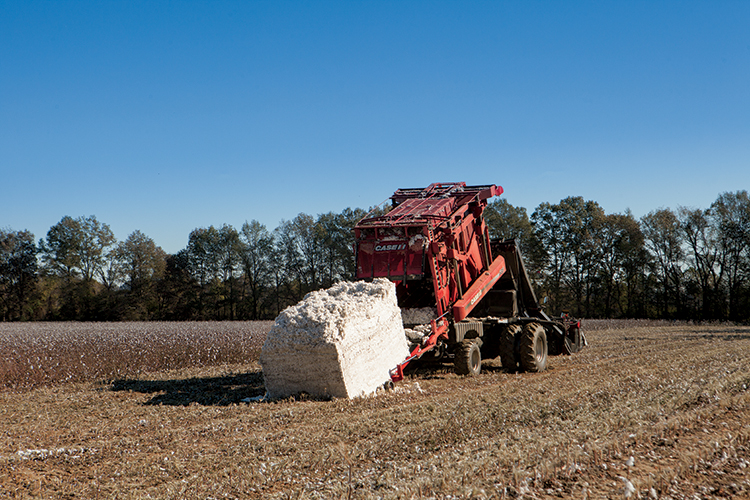 farm cotton picker bale Tennessee