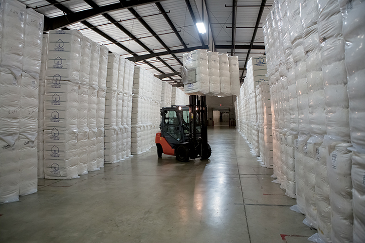 Ginned cotton at Bemis Gin and Warehouse Company in Jackson, Tennessee