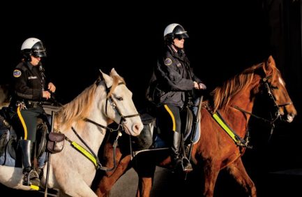 Nashville Horse Mounted Patrol Unit|Horses in West Tennessee