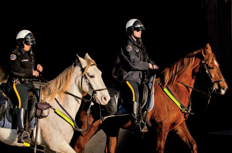 Nashville Horse Mounted Patrol Unit