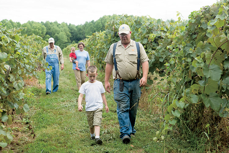 The Weaver family strolls through the vineyards at Weaver Farms in Estill Springs, Tennessee