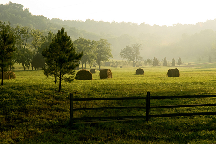 landscape Tennessee farm