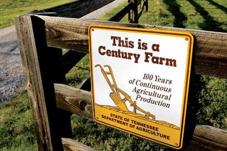 Farmland Legacy project helps keep Tennessee farms in business