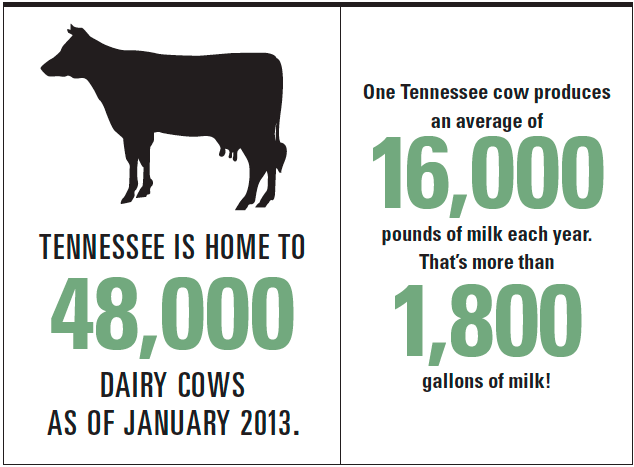 Tennessee Dairy Infographic