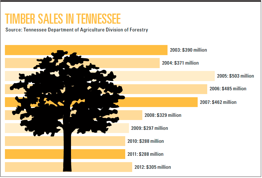 Tennessee Timber Infographic