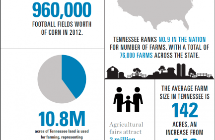 Tennessee Agriculture Infographic|Tennessee Agriculture Infographic