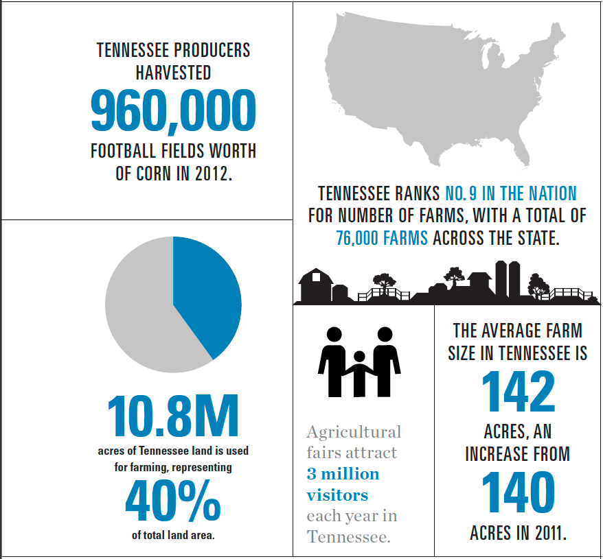 Tennessee Agriculture Infographic