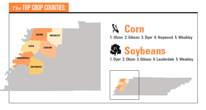 Tennessee grain infographic