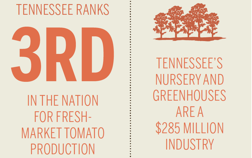 Tennessee Agriculture [INFOGRAPHIC]