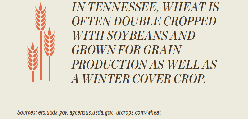 Tennessee Agriculture [INFOGRAPHIC]