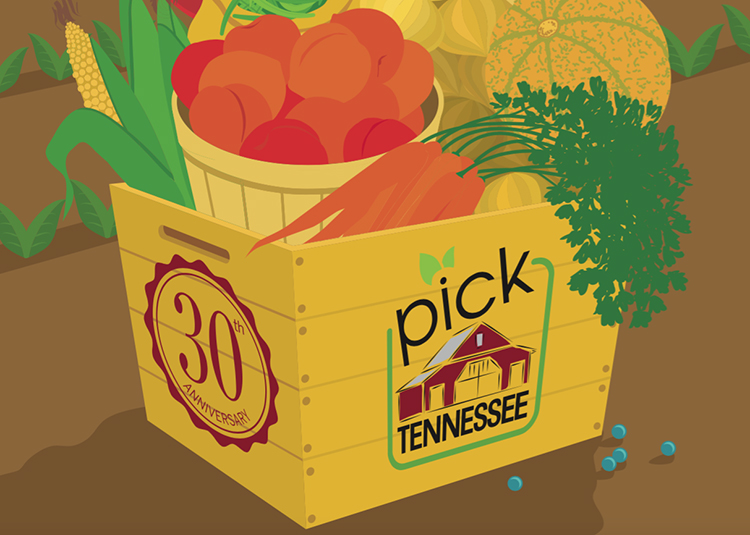 Pick TN Products illustration