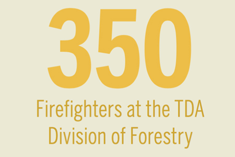 Tn firefighters [INFOGRAPHIC]