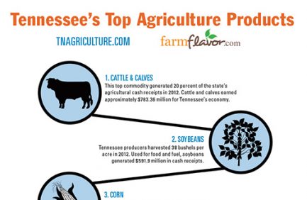 Top 10 Ag Commodities|Tennessee's Top Agriculture Products Infographic||Tennessee Top 10 ag products