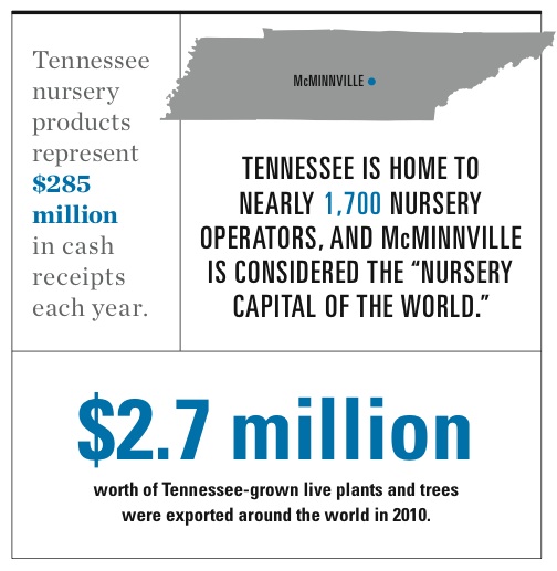 TN nursery industry infographic