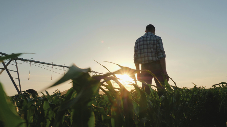 Tennessee Farmers Suicide Prevention Task Force