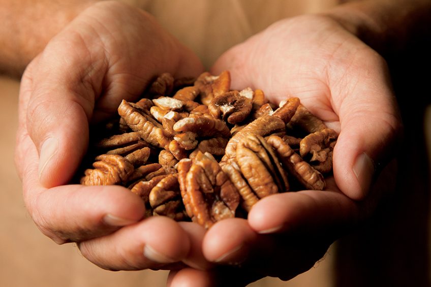 Inside Sunnyland Farms, One of LongestRunning Pecan Farms