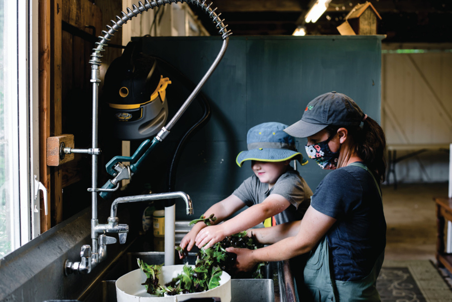 Connecticut farmers adapt to pandemic. Allyson Angelini washes lettuce with her son, Henry.