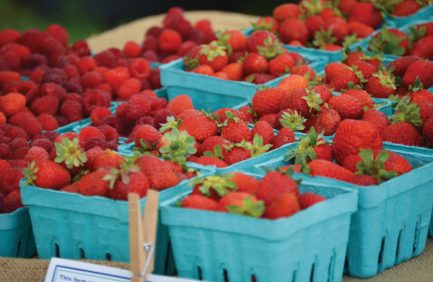 strawberries; local food