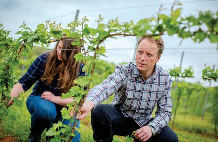 Viticulturist Maya Hood White and winemaker Ben Jordan care for the grapevines at Early Mountain Vineyards.