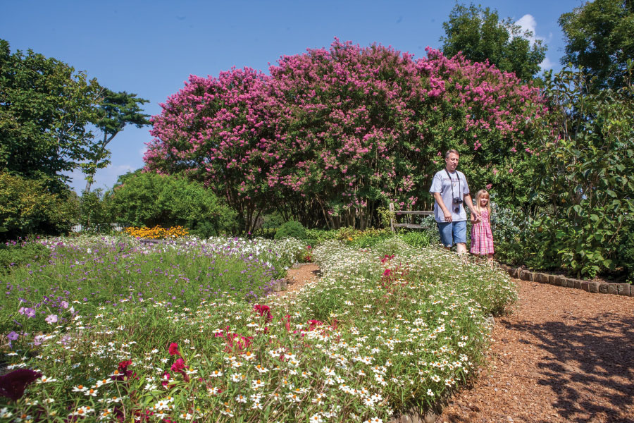 Middle Tennessee Herb Gardens Feature Heritage Plants Farm Flavor