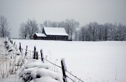 winter on the farm
