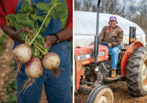 North Carolina Small and Minority Farm Program