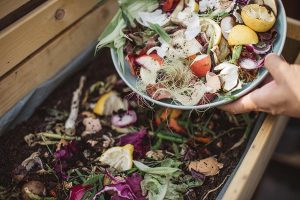 how to get started composting