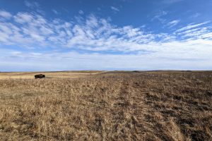 Bison Ranch Lodge & Outfitters; North Dakota agritourism