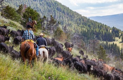 Double Rafter Cattle Drives; Wyoming agritourism