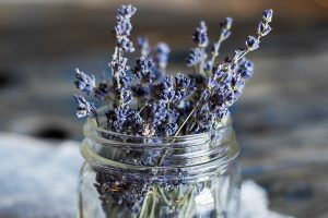 culinary lavender; cooking with lavender
