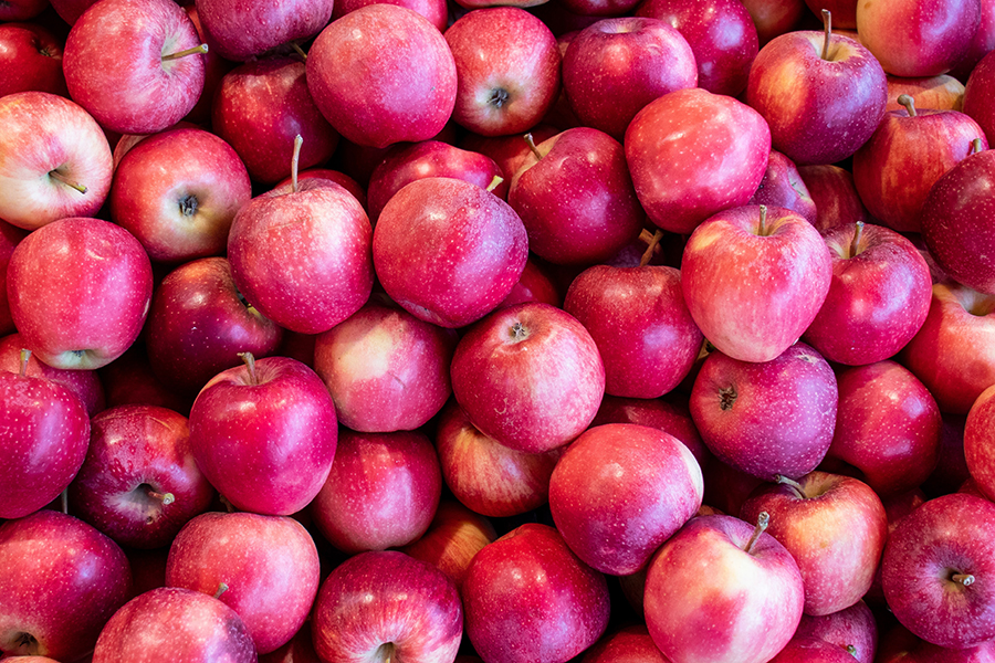 fuji apples