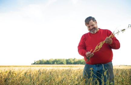 onlineTodd Hesterman is a fourth-generation soybean farmer from Henry County.