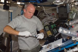 Astronaut Jeff Williams harvests Arabidopsis plants on the International Space Station.