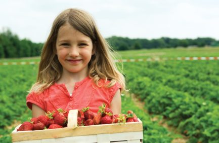 girl holding basket of strawberries in strawberry field