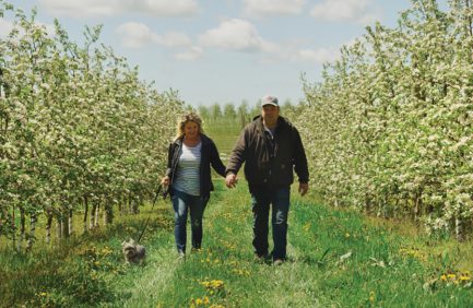 Couple walks through North Bay Produce