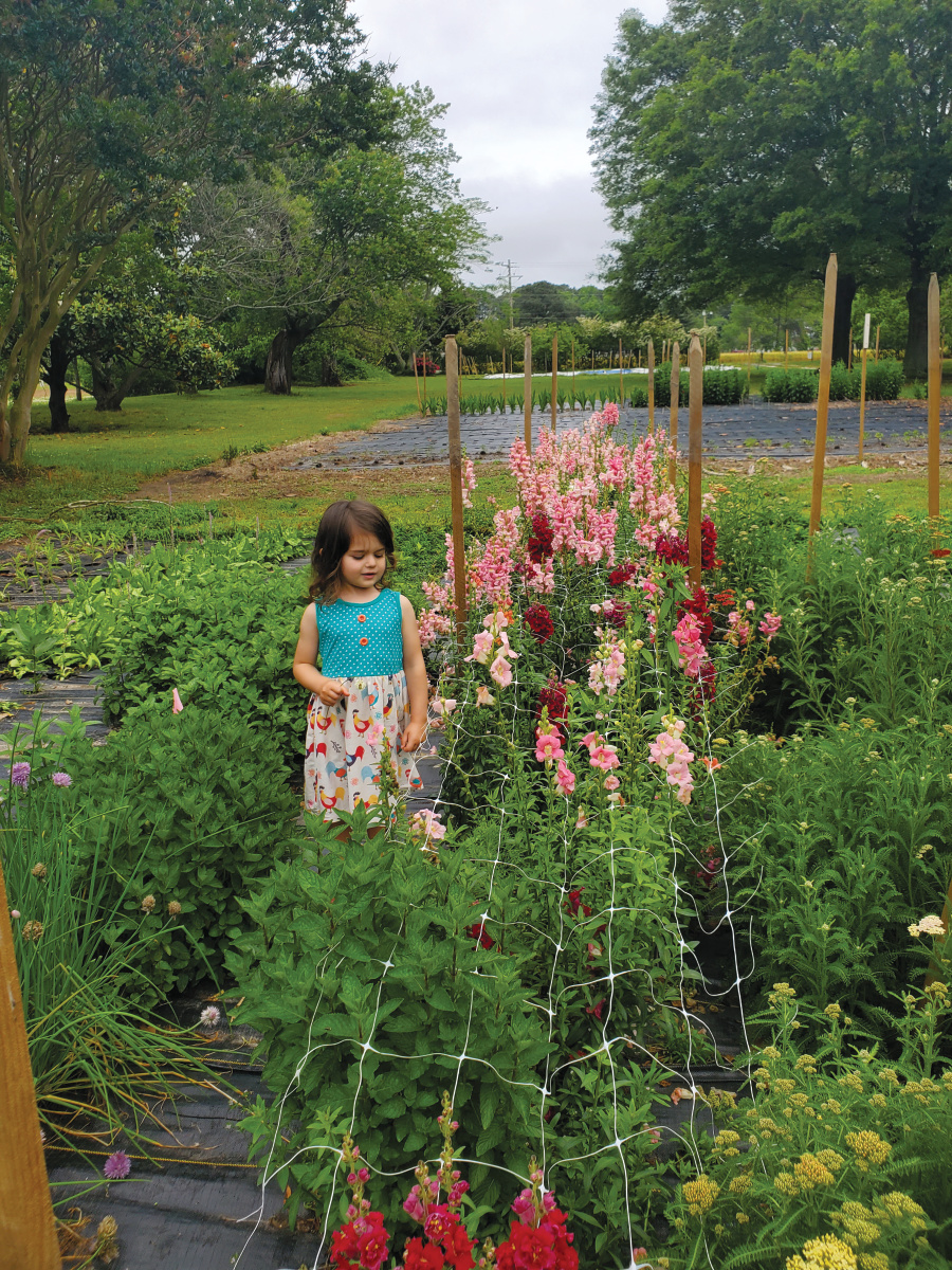A little girl stands in one of the gardens at Chatham Flower Farm
