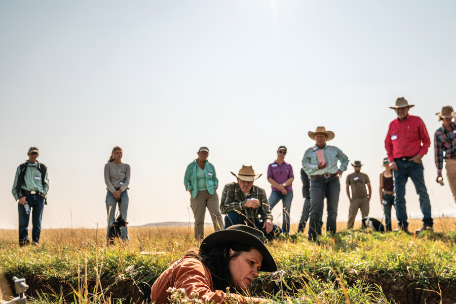 Cultivating the Future of Agriculture in Colorado Farm Flavor