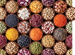 beans; plant based protein sources