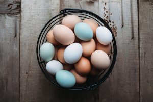 egg facts; farm fresh eggs