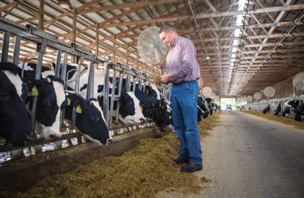 Indiana dairy sustainability