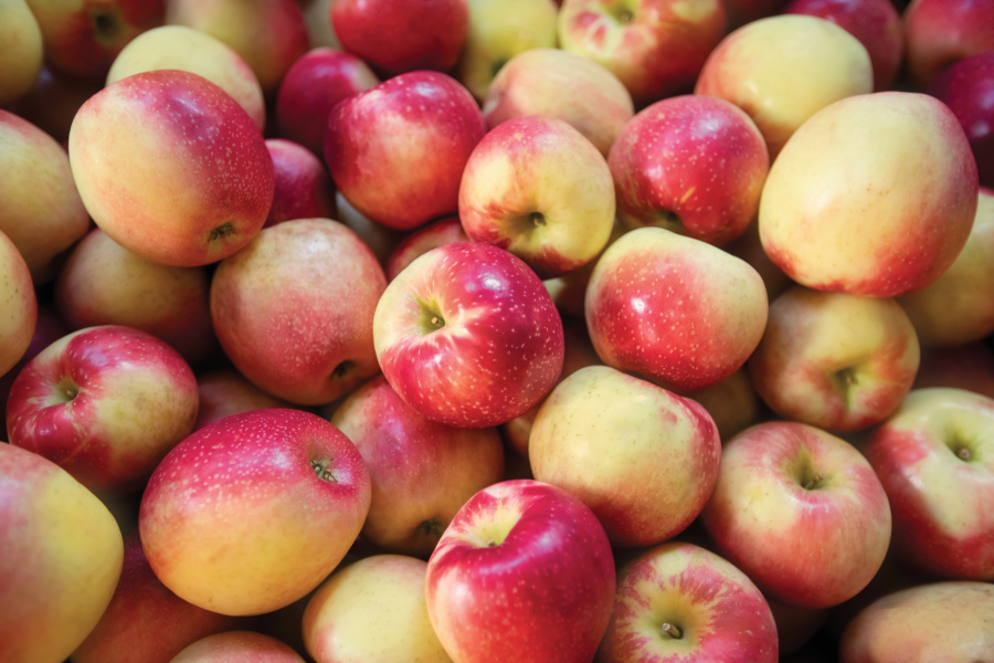 Illinois Apple Orchards Use FarmFresh Fruit to Produce Fall Favorites