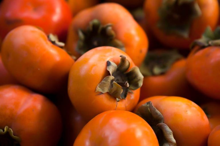 what-are-persimmons-and-how-to-use-them-farm-flavor