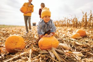 pumpkin patch; history of Halloween agriculture
