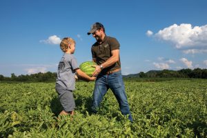 Ryan and Cruz Stuckwish harvest watermelon