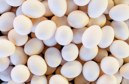 carbon-neutral eggs