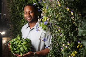 Mario Vitalis grows a variety of herbs and leafy greens inside two 40-foot shipping containers at his farm, New Age Provisions, in Indianapolis. Photo credit: Jeff Adkins