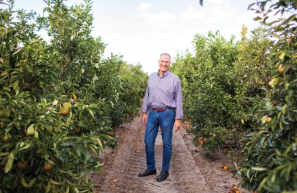 Citrus grower Quentin Roe at Noble Citrus' grove