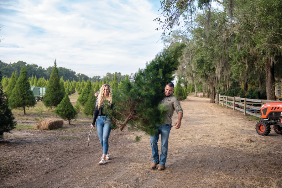 Deck the Halls With a Florida Christmas Tree From Santa’s Christmas